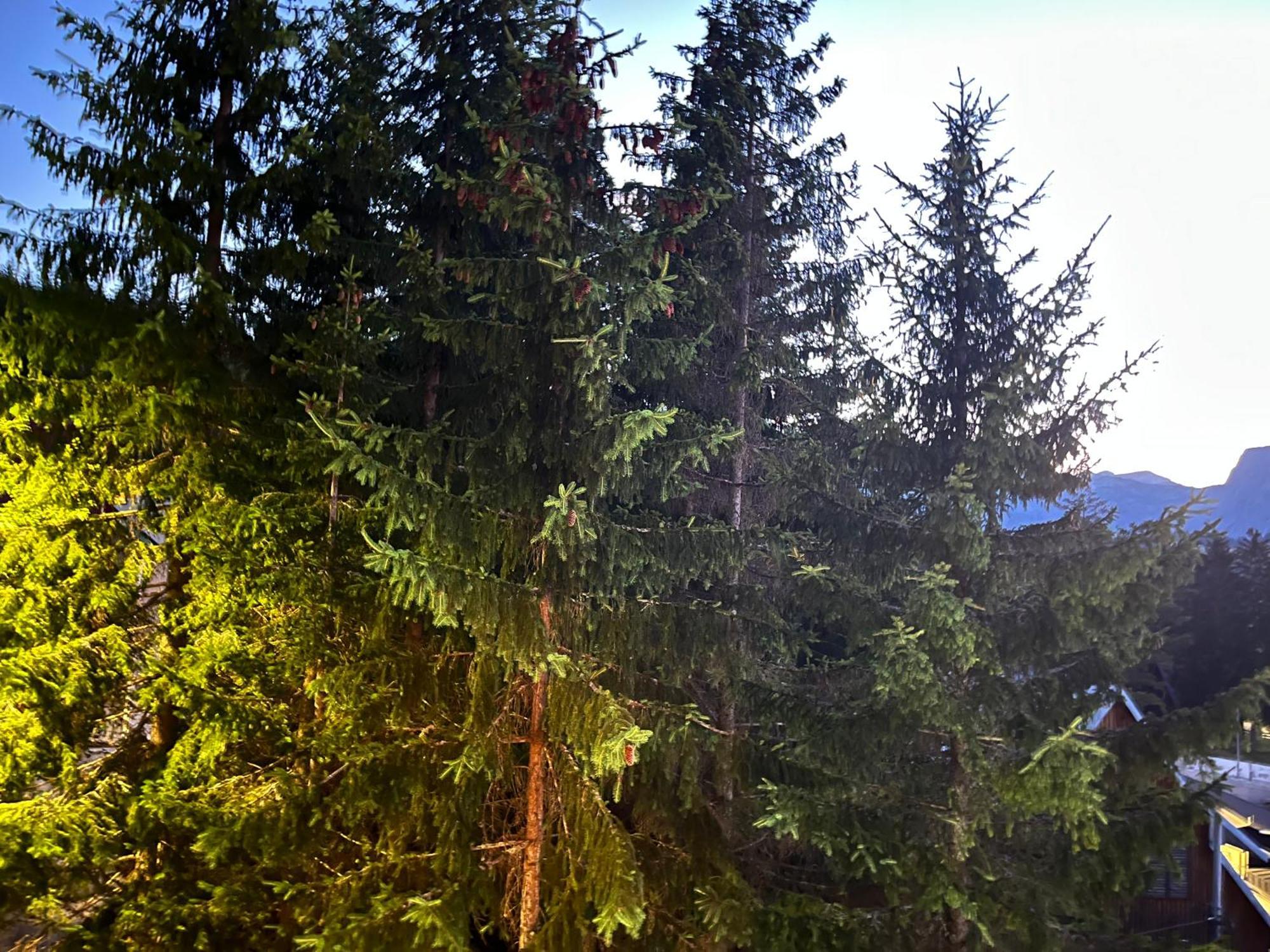 Vila Idila Žabljak Exterior foto
